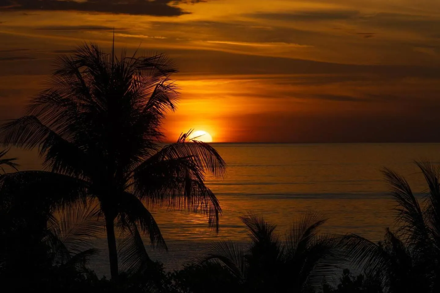 Hermoso Departamento Con Vista Al Mar Isla Holbox 0*,  Mexico